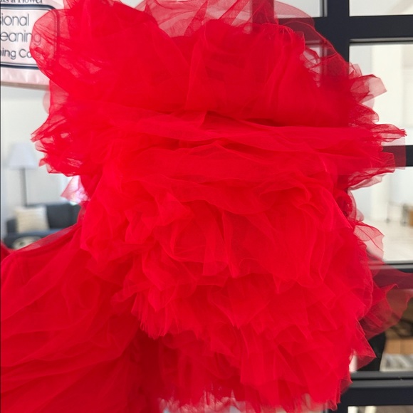 House of CB NOELLE Scarlet Ruffle Sleeve Dress NWT Size L+ - Picture 10 of 11